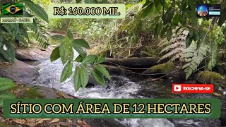 VENDIDA:Sítio, área de 12 hectares,energia, riacho,local tranquilo por R$: 160.000 MIL, Maraú - BA.