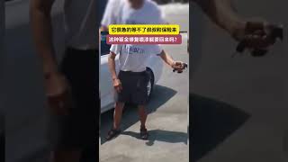 #大爷永远是大爷 #防不胜防 #不走寻常路 #文明出行 #人生赢家