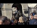 Yanking the Reins from the tourist hands #horseguardsparade