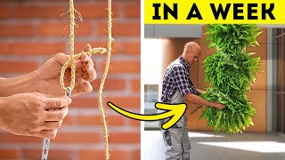 GROW Your Own VERTICAL GARDEN at Home!