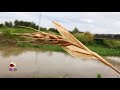 abc tv how to make a wheat branch paper 1 slowly craft tutorial