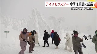 森吉山のアイスモンスター成長中！　樹氷見頃で国内外から続々と観光客　秋田・北秋田市 (25/01/10 19:00)