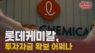 '수익성 악화' 롯데케미칼, 투자자금 확보 어쩌나 [말하는 기자들_산업_0206]