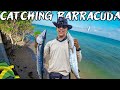 Catching Barracuda In Jamaica: Fishing At One Of My Favorite Local Spots! While Fishing in Jamaica