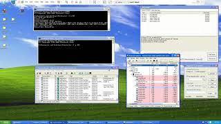 Basic Dynamic Analysis (Part 1) - Win32.Pinfi.B Malware