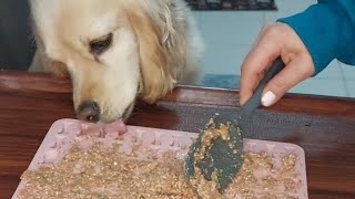 Sağlıklı Köpek Ödül Maması Tarifi