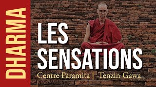 BOUDDHISME \u0026 MÉDITATION : S01 EP05 - Les sensations