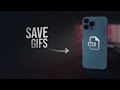 How to Save Gifs on iPhone (tutorial)