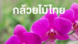 สารคดีของดีประเทศไทย เรื่อง กล้วยไม้ไทย