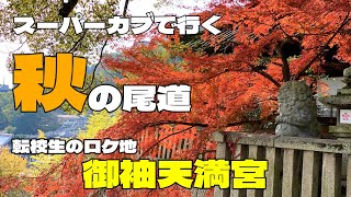 【スーパーカブ】尾道三部作「転校生」のロケ地「御袖天満宮」　今年の紅葉は最高に綺麗でした♬　CUERRY　CAFE　あおぞらパパド　Onomichi City（Hiroshima, Japan）