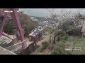 4k レトロな須磨浦山上遊園に満開の桜を見に行く