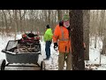 cutting firewood for mom