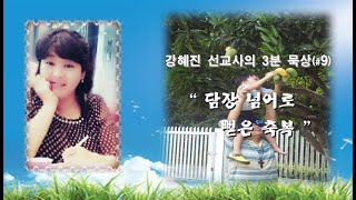 강혜진 선교사의 3분 말씀 묵상 - 담장 넘어로 뻗은 축복 (창 49:22)