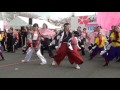 さかど華吹雪　yosakoiフェスタin桜川2017　総踊り「黄門」