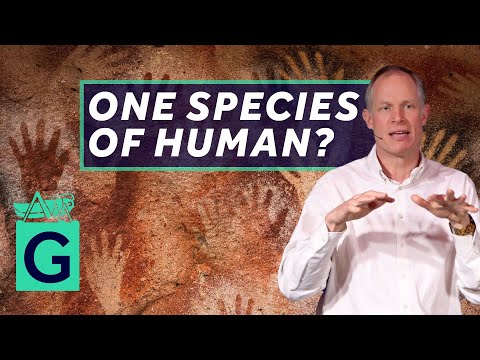 Why Is There Only One Species of Human? – Robin May