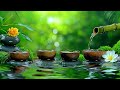 Relaxing music Relieves stress, Anxiety and Depression 🌿 Heals the Mind, Deep Sleep