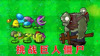 PvZ：在贝塔版中，哪些植物能打败巨人僵尸？【熊猫解说君】