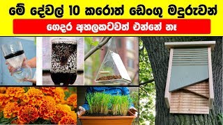 මේ දේවල් 10 කරොත් ඩෙංගු මදුරුවන් ගෙදර අහලකටවත් එන්නේ නෑ | 10 Home Remedies to Get Rid of Mosquitoes