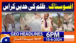 Cruelty on the rise!! | Geo News 6 PM Headlines | 15 June 2024