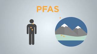 Explained: What are PFAS compounds and how can they affect human health?