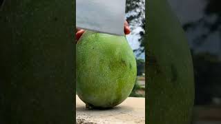 How to you cutting fruit mix #cuting #nature #fruitmix #chnel #music #beautiful #154015 #beautiful