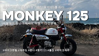 '제주도 몽키125 랜탈 여행기' 배불뚝이 중년아저씨의 여행기 다섯번째 #몽키125 #혼다 #제주도 #출장 #제주도라이딩 #바이크여행 #honda #monkey125