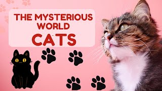 Unraveling the Enigma Exploring the Mysterious World of Cats