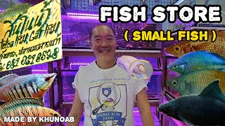 Let's check out some amazing small fish | อัปเดตปลาร้านพี่โส่ย พี่ชายผู้น่ารัก | สมพงษ์ สินในน้ำ ❤️