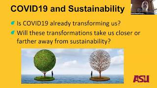 Sustainability & Our Post-COVID-19 World with Prof. David Manuel Navarrete -School of Sustainability