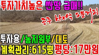 공주부동산/공주토지매매(no.2-209번.\