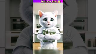 Kittu's mobile broke #cat #catlover #cutecat #cats #catsofyoutube #catshorts #catlove  #viralshorts