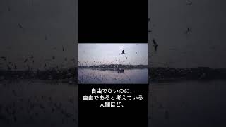 ヨハン・ヴォルフガング・フォン・ゲーテの名言　自由