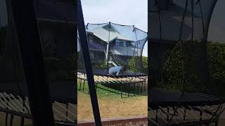 Trampoline കേറണം ennu...apo തന്നെ സാധിച്ചുകൊടുത്ത് ....പിന്നെ കണ്ടത് 🤣🤣🤣#funny #trampoline #grandpa