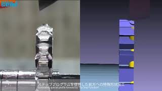 DG30 特殊サイドカッタの製造/Modification of side milling cutters