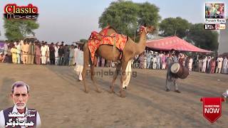 Best Horse Dance Urs o Meala Baba Mohsin Shah /Chak no 15/KB Pakpatan Dogranwala 2019 -232