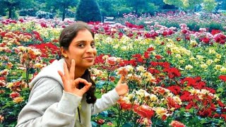 വൗ!!! 20000 റോസ് വെറൈറ്റിയോ!!? WOW !!! 20000 ROSE VARIETIES!!? OOTY ROSE GARDEN VISIT IN MALAYALAM