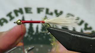 Golden Retriever For Maine Trout and Salmon - Fly Tying with Greg LaBonte