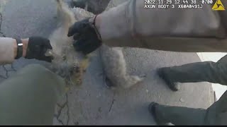 Mesa County Sheriff's Deputies Save Puppies from Fire