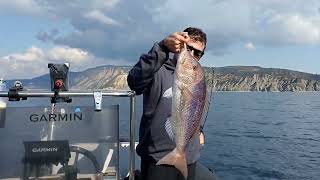 Ψάρεμα από σκάφος !! Boat Fishing in Greece!!#boatfishing #dentex #fishing #fisherman