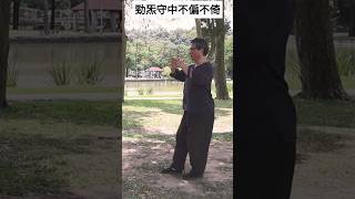 永遠守住勁炁中定 #xingyiquan #形意拳 #太極拳 #taiji #中国武术 #qigong #氣功 #八卦掌 #baguazhang