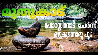 വനമേഖലയോട് ചേർന്ന് ഒഴുകുന്ന മനോഹരമായ പുഴ