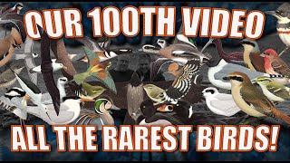 ALL THE UK RARE BIRDS WE HAVE SEEN! Our 100th Video