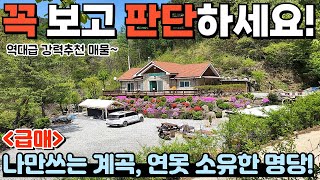 [340] 🚨나만 쓰는 맑은 계곡 있음🚨 우리 집 연못엔 돌메기가~? 그 어떤 집들보다 만족스러울 겁니다. / 충청북도 제천시 백운면 전원주택 매매 #제천부동산