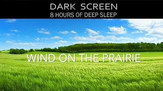 🌬️ Wind on the Prairie 🌾 Sounds of Wind Blowing over Tall Grass Field - 8 Hours Black Screen No Ads