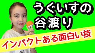 【けん玉】技のコツ【うぐいすの谷渡り】をレクチャー!!!!「うぐいすが反対側へ?!インパクトある面白い技!!!!」