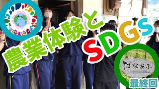 はなあふ農園さんと学ぶ農業体験　最終回！！【安芸の山里農園 はなあふ】