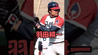 羽田耕一解説　短縮版　#プロ野球  #shorts #ゆっくり解説