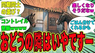 【社台SS】引退するドウデュースの馬房はどこになる！？運命の部屋割りを予想してみた！に対するみんなの反応集【競馬の反応集】