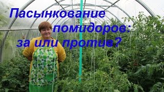 Пасынкование томатов: за или против?/Growing tomatoes.