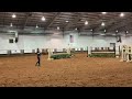 nutrena ride the pattern clinic equitation over fences and working hunter under saddle